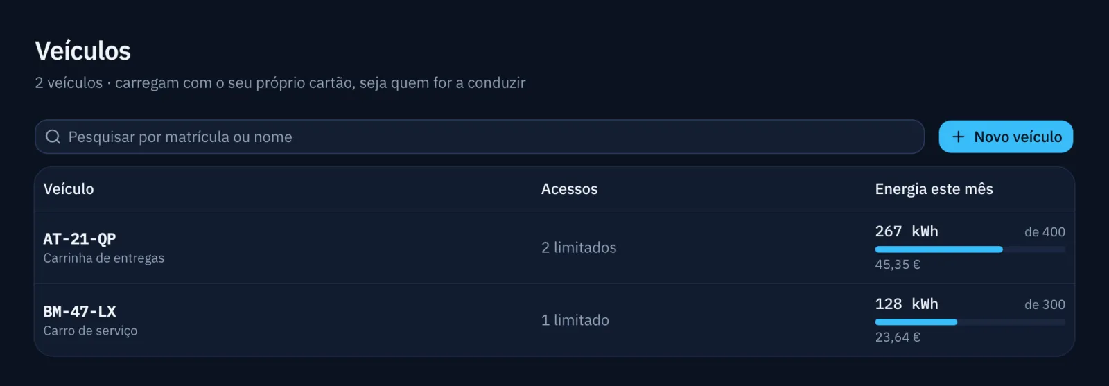 Lista de carros da empresa por matrícula, com a energia do mês e o limite.